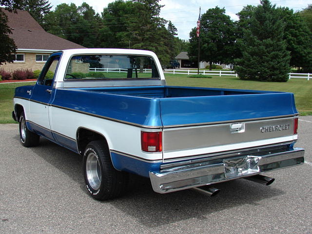 1976 Chevrolet C10 Maple Lake MN 55358 Photo #0133512A