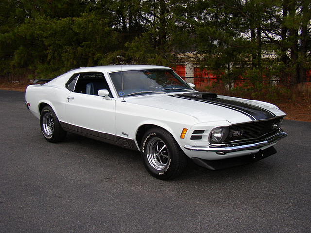 1970 Ford Mustang Photo #0133661A