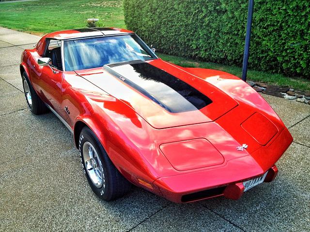 1976 Chevrolet Corvette Photo #0133746A