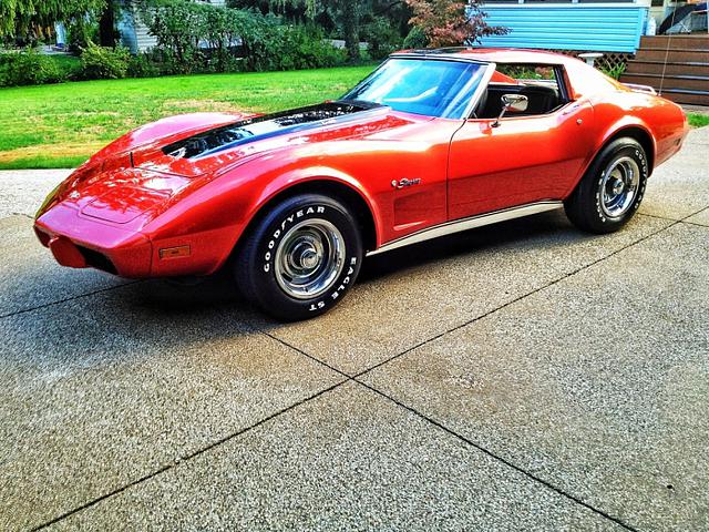 1976 Chevrolet Corvette Photo #0133746A