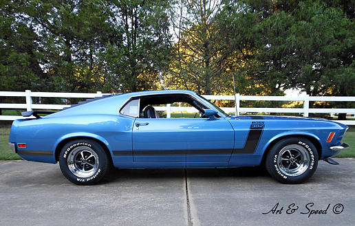 1970 Ford Mustang Cordova TN 38016 Photo #0134075A