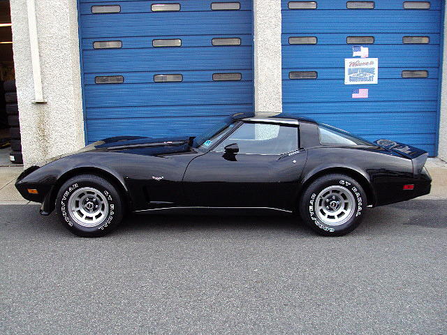 1979 Chevrolet Corvette Photo #0134766A