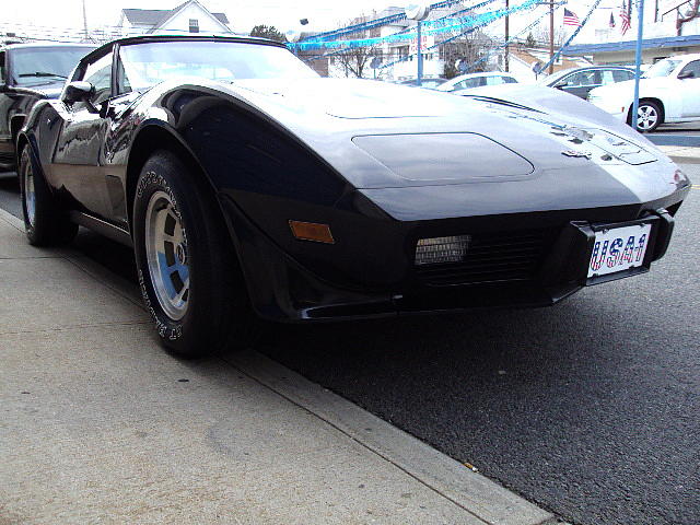 1979 Chevrolet Corvette Photo #0134766A