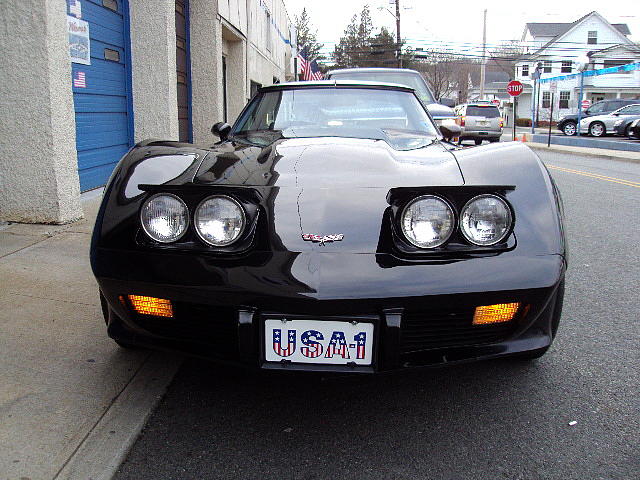 1979 Chevrolet Corvette Photo #0134766A