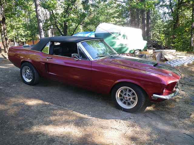 1968 Ford Mustang Photo #0135281A