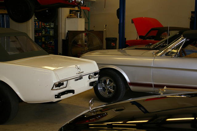 1966 Ford Mustang Photo #0135327A