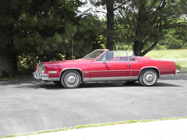 1981 Cadillac Eldorado Photo #0135837A