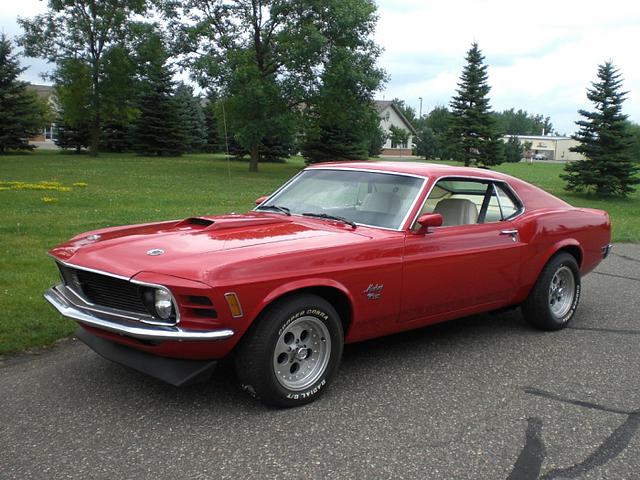 1970 Ford Mustang Rogers MN 55374 Photo #0135904A