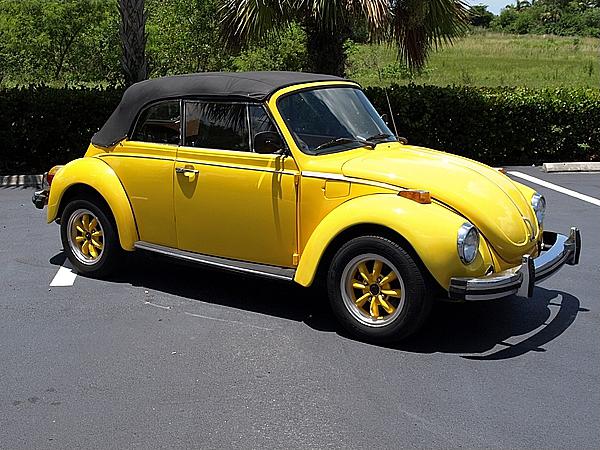 1974 Volkswagen Beetle Texas Photo #0135980A