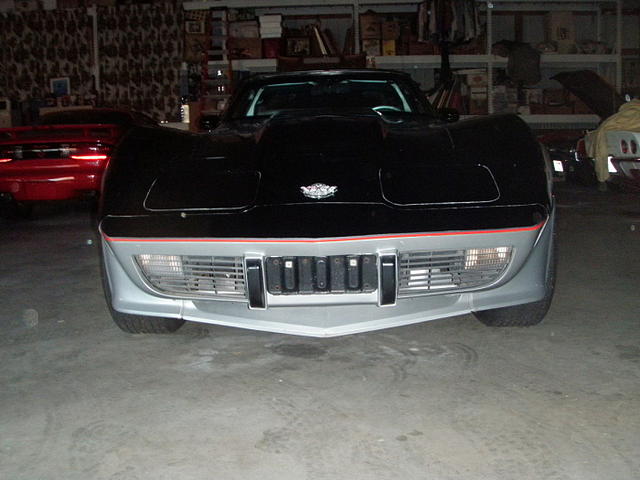 1978 Chevrolet Corvette Photo #0136045A