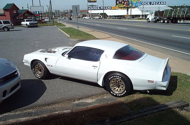 1978 Pontiac Trans Am Tifton GA 31794 Photo #0137543A