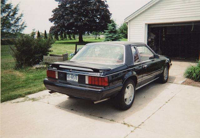 1979 Ford Mustang Photo #0137806A