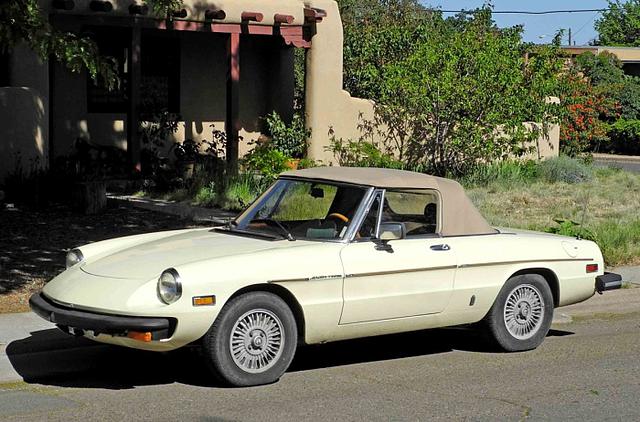 1981 Alfa Romeo Spider Photo #0137918A