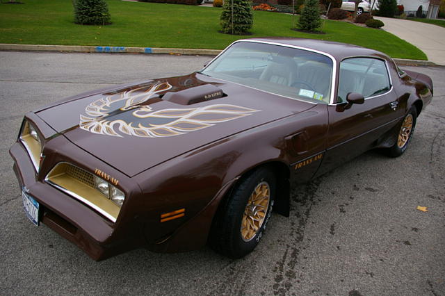 1977 Pontiac Trans Am Photo #0138862A