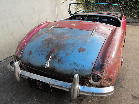 1953 Austin-Healey 100-4 Photo #0138986A