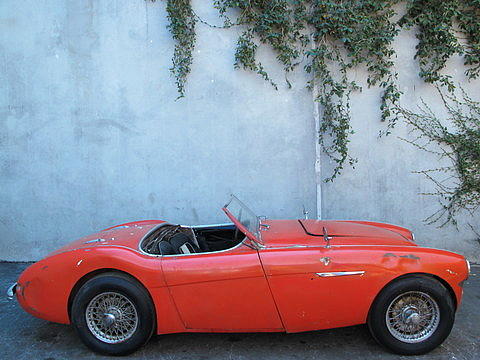 1955 Austin-Healey 100-4 Photo #0139375A