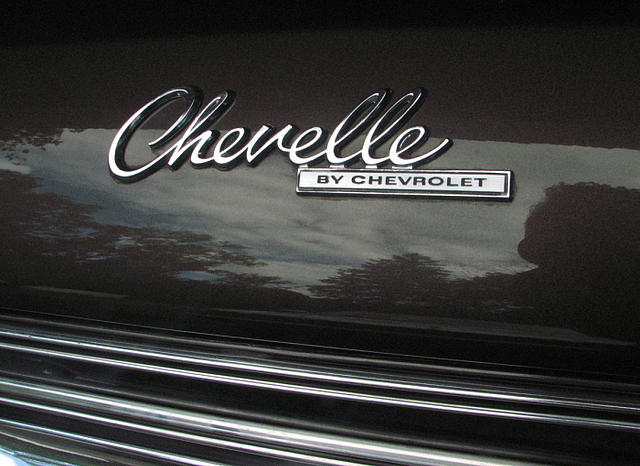 1969 Chevrolet Chevelle Photo #0140120A