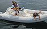 Show more photos and info of this 1995 Nautica RIB Jet 14.