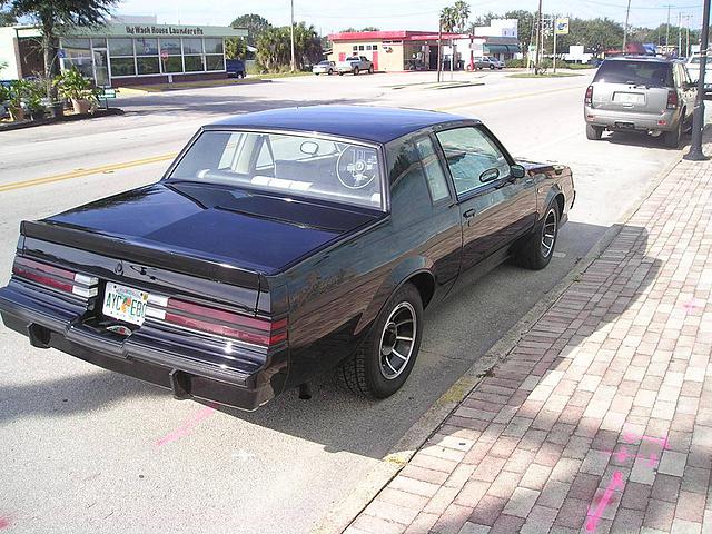 1984 Buick Grand National Frostproof 33843 Photo #0142686A