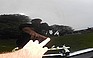 Photo #0143926I