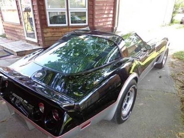 1978 Chevrolet Corvette Palatine IL 60067 Photo #0147404A