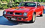 Show the detailed information for this 1975 Pontiac Trans Am.