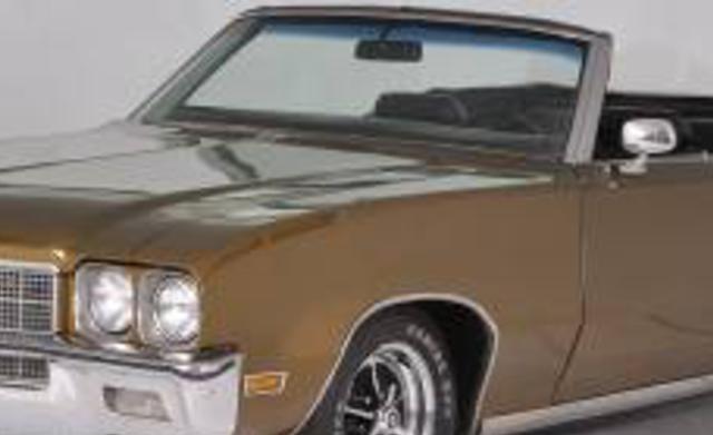 1972 Buick Skylark Volo IL 60073 Photo #0147990A